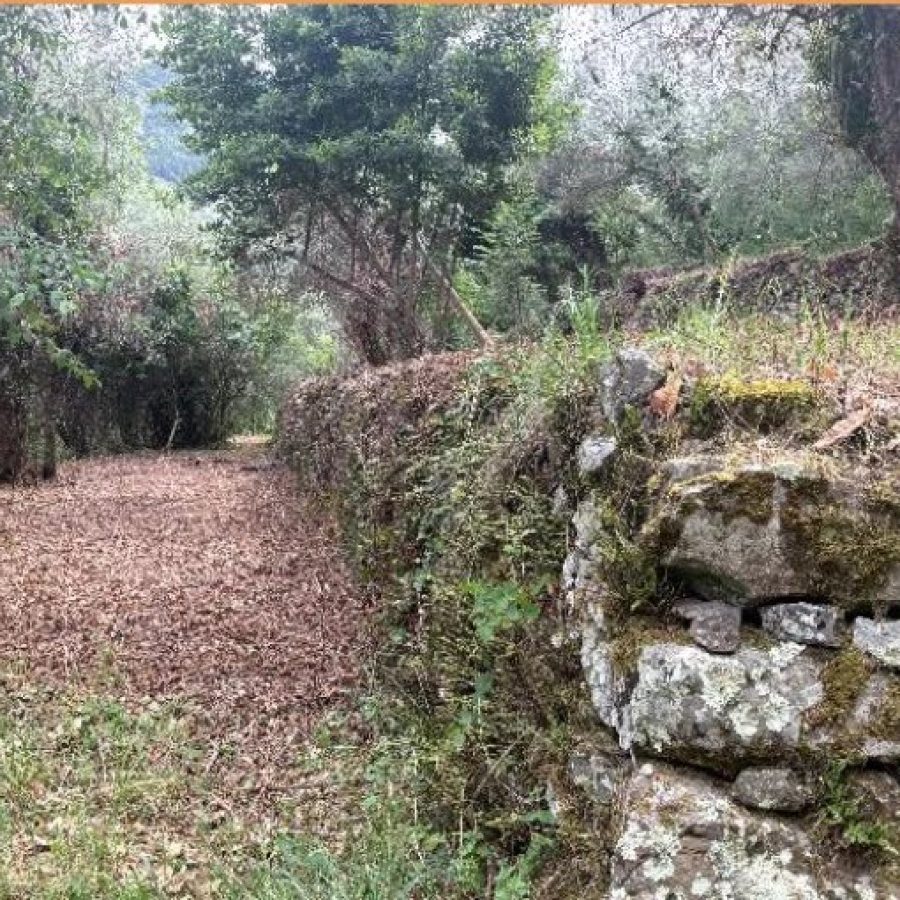 DURANUS - TERRAIN 1902 m2 CONSTRUCTIBLE