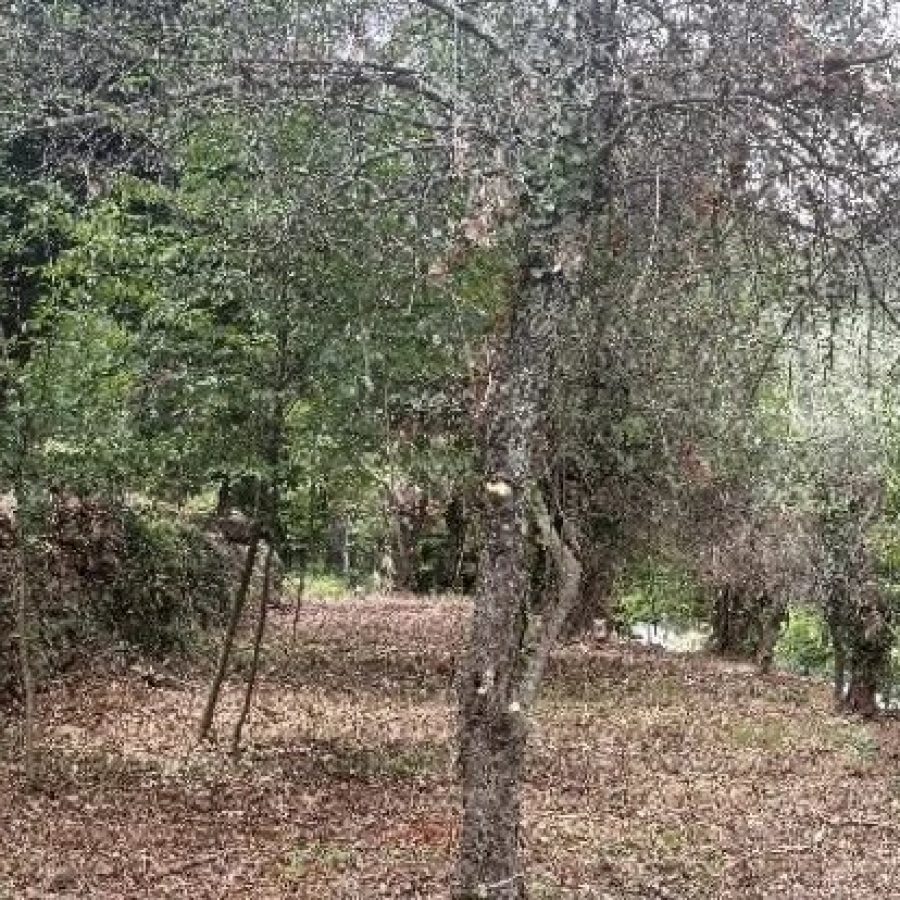 DURANUS - TERRAIN 1902 m2 CONSTRUCTIBLE