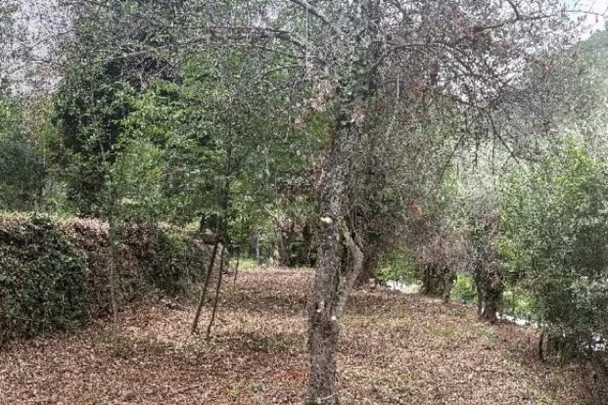 DURANUS - TERRAIN 1902 m2 CONSTRUCTIBLE